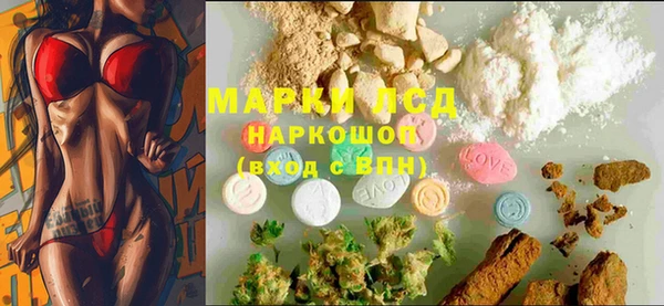 ECSTASY Кукмор