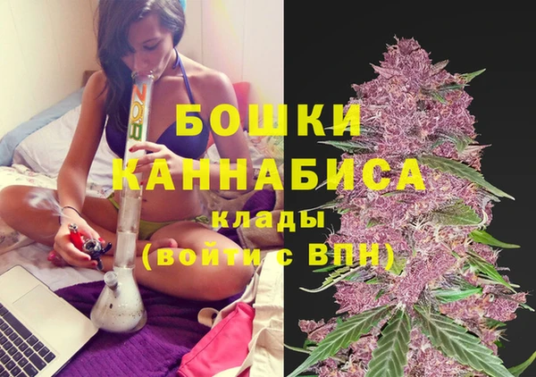 ECSTASY Кукмор
