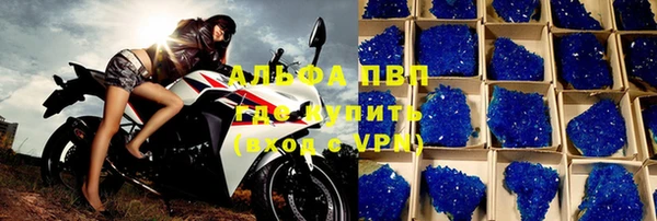 ECSTASY Кукмор
