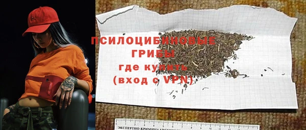ECSTASY Кукмор