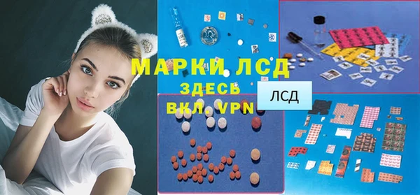 ECSTASY Кукмор