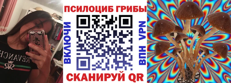 Псилоцибиновые грибы MAGIC MUSHROOMS  наркотики  darknet клад  Медногорск 