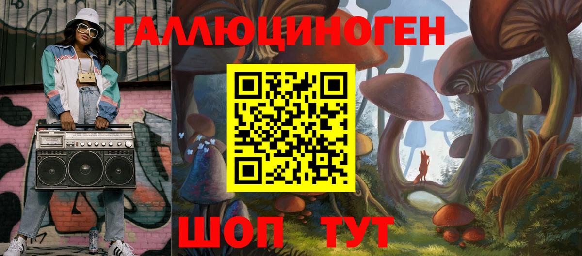 Галлюциногенные грибы Psilocybine cubensis Медногорск